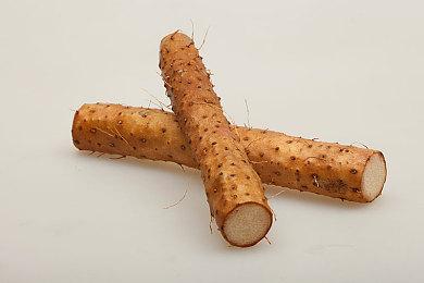 《宝可梦传说Z-A》或有两部DLC 内容量有望超越前作